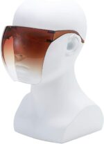 Goggle Face Shield Mask