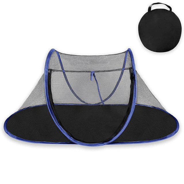 Blue-pet tent